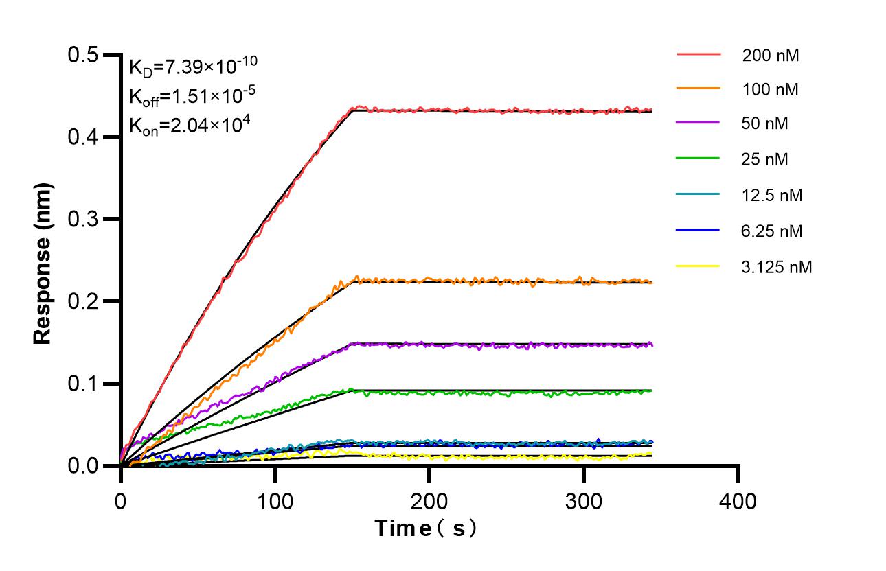 Affinity of 84890-4-RR
