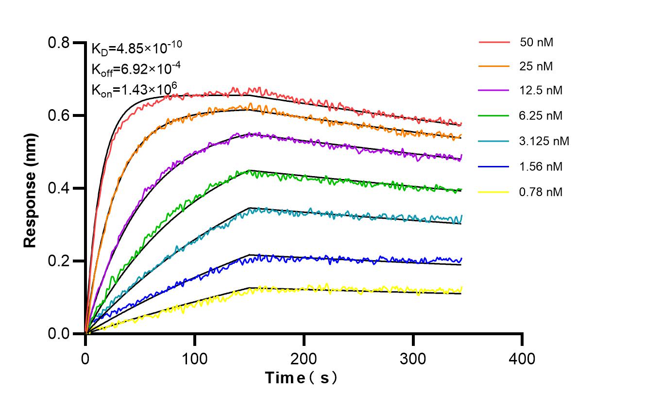 Affinity and Kinetic Characterization of 84891-8-RR Affinity and Kinetic Characterization of 84891-8-RR