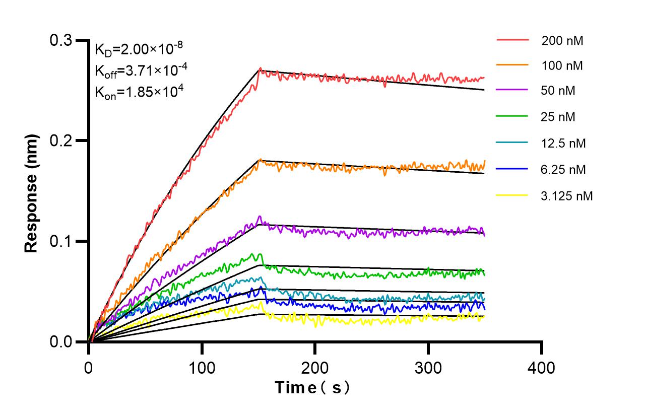 Affinity and Kinetic Characterization of 84891-9-RR Affinity and Kinetic Characterization of 84891-9-RR