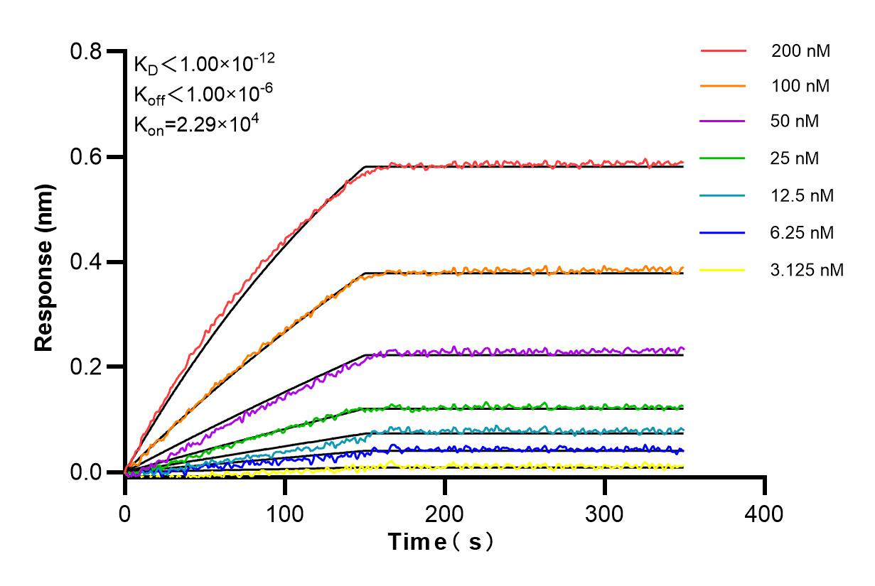 Affinity and Kinetic Characterization of 84894-5-RR