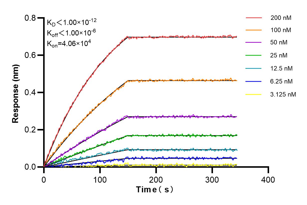 Affinity and Kinetic Characterization of 84899-5-RR