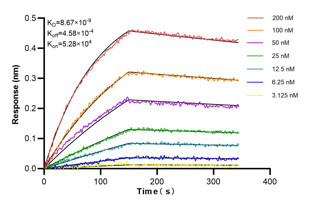 Affinity and Kinetic Characterization of 84914-5-RR