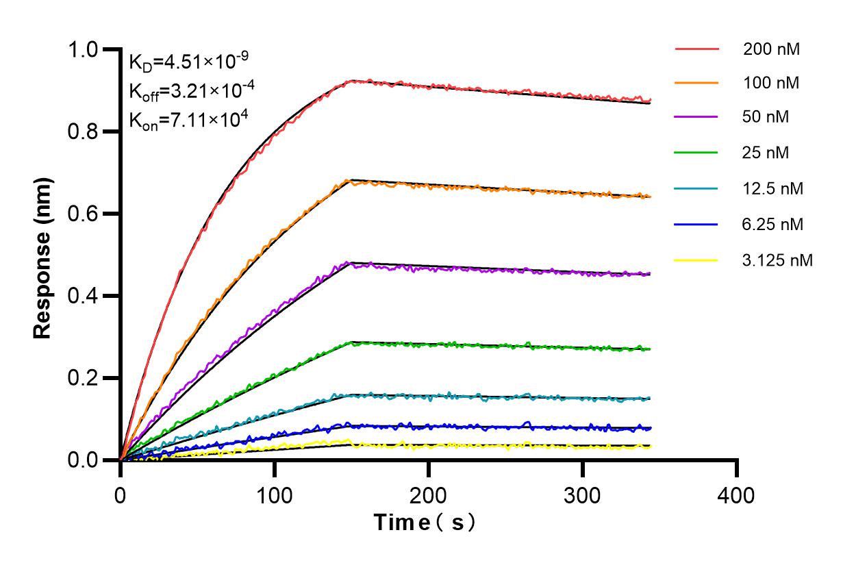 Affinity and Kinetic Characterization of 84918-5-RR