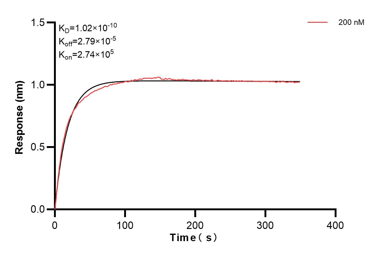 Affinity and Kinetic Characterization of 84922-3-PBS