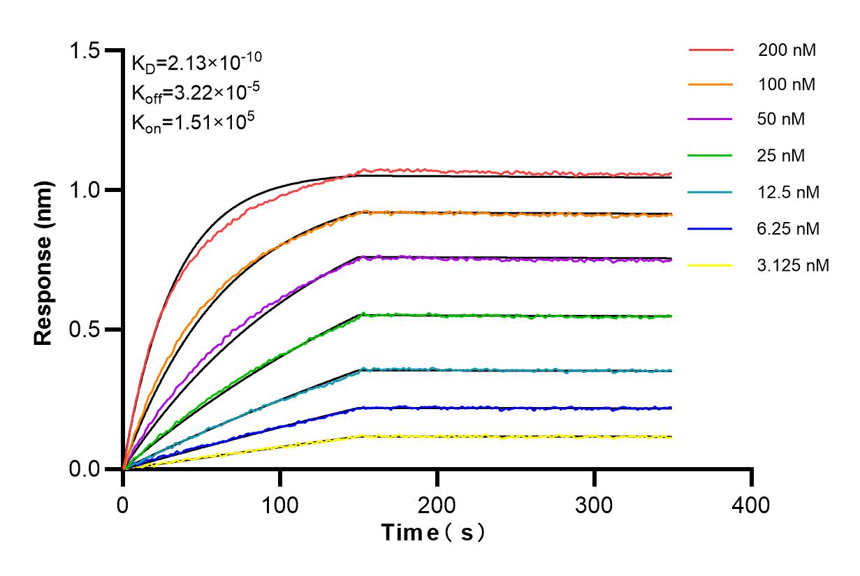 Affinity and Kinetic Characterization of 84922-6-RR