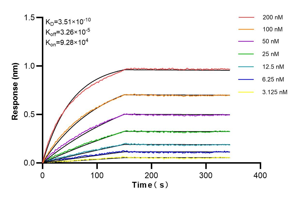 Affinity and Kinetic Characterization of 84923-5-RR