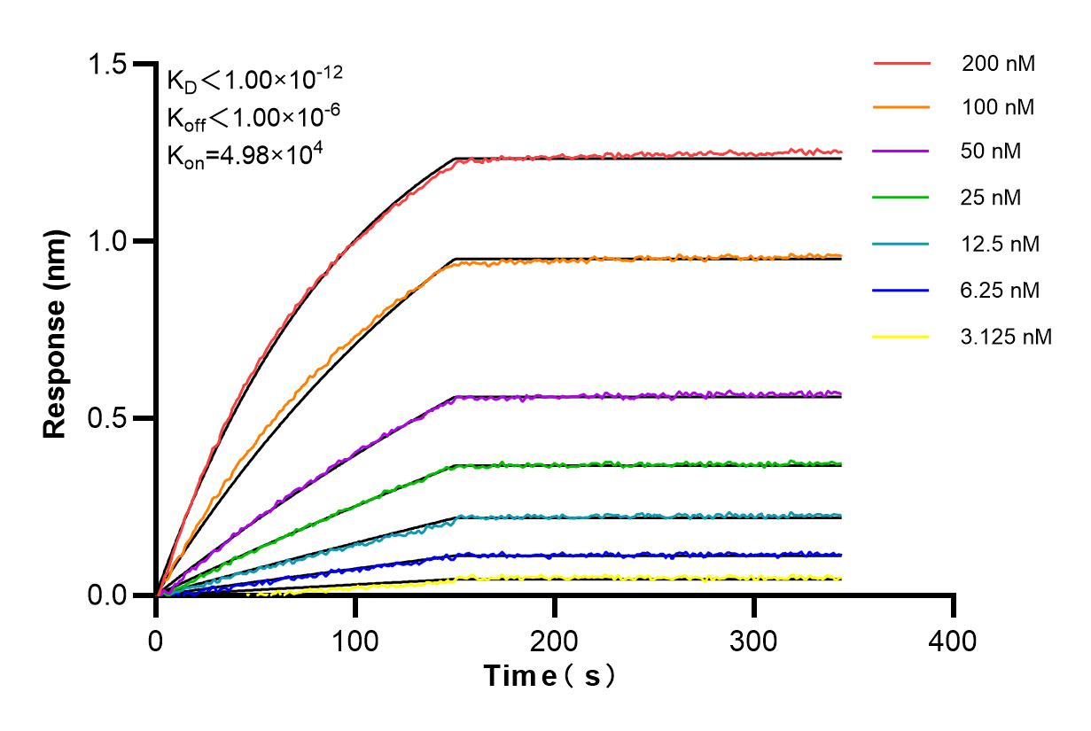 Affinity and Kinetic Characterization of 84924-7-RR