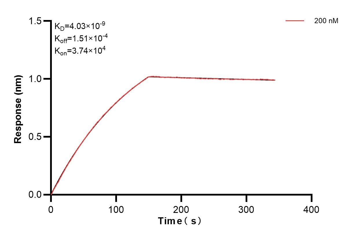 Affinity of 84929-1-PBS