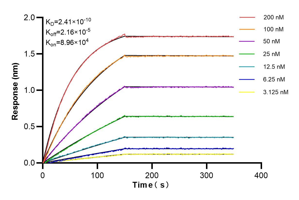 Affinity and Kinetic Characterization of 84931-5-RR