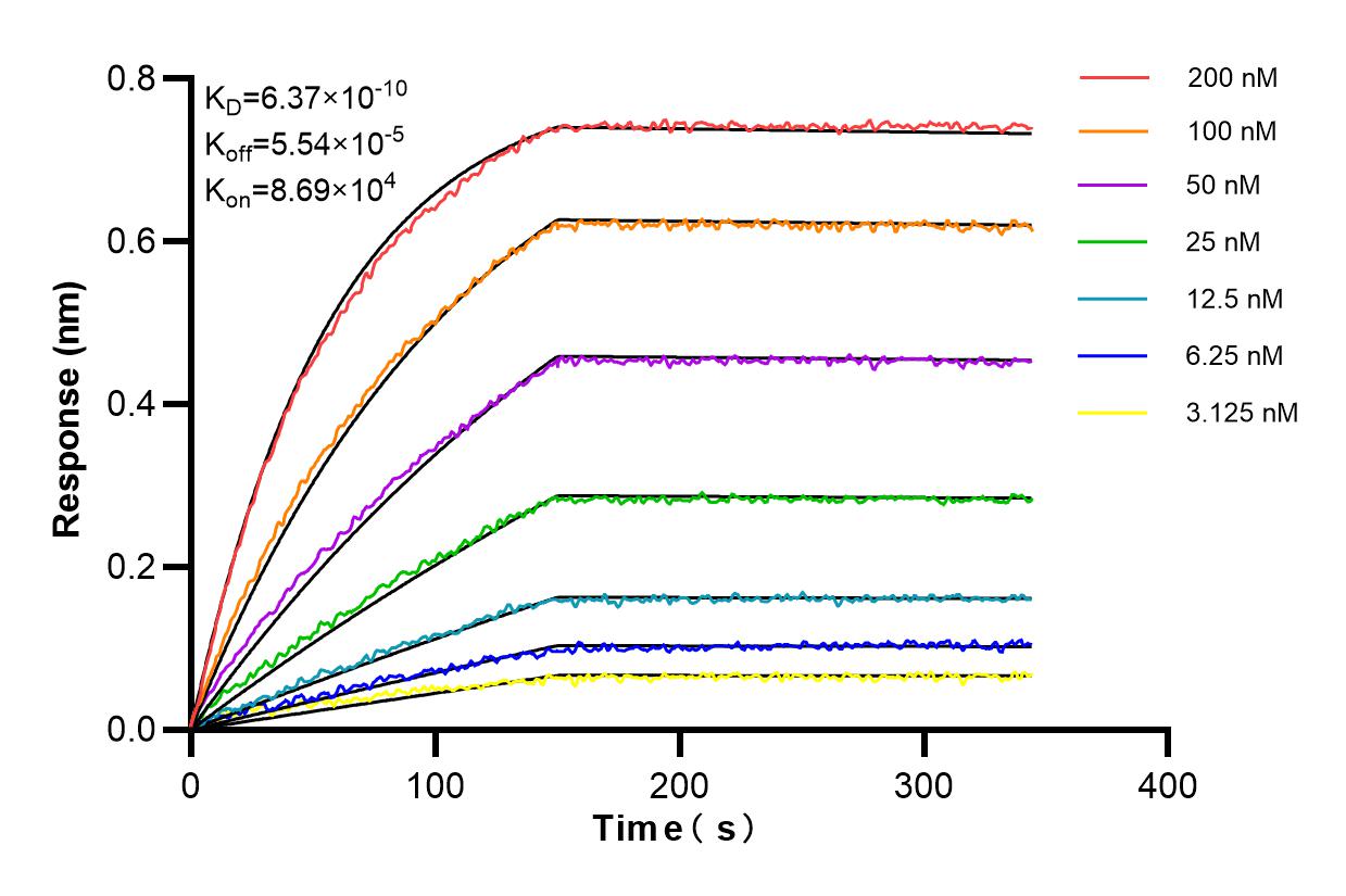 Affinity and Kinetic Characterization of 84935-6-RR