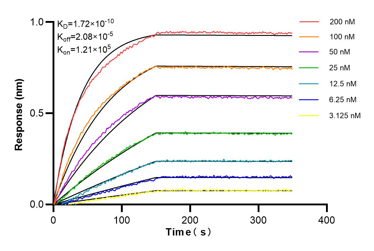 Affinity and Kinetic Characterization of 84937-1-RR