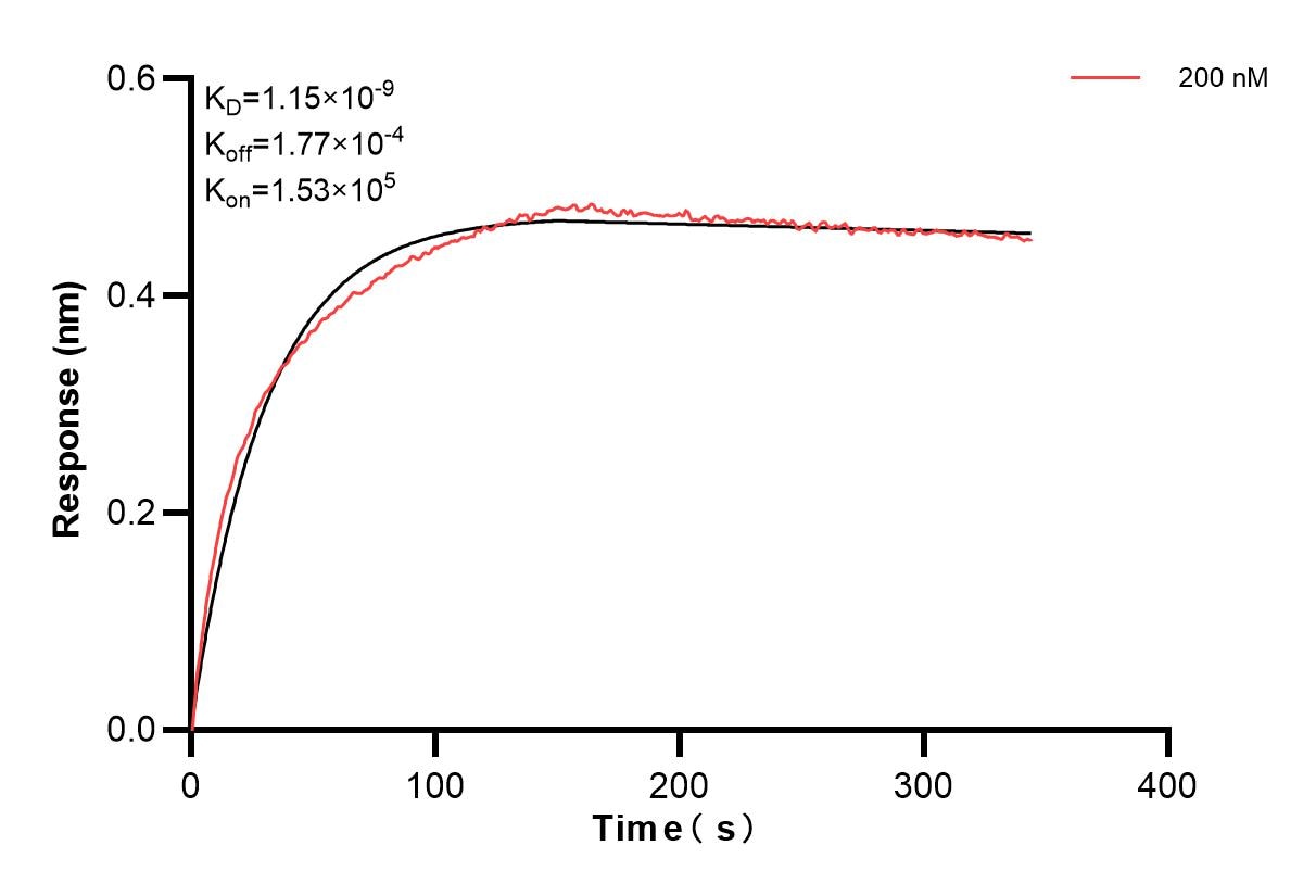 Affinity of 84940-3-PBS