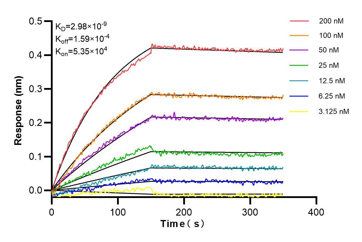 Affinity and Kinetic Characterization of 84940-5-RR