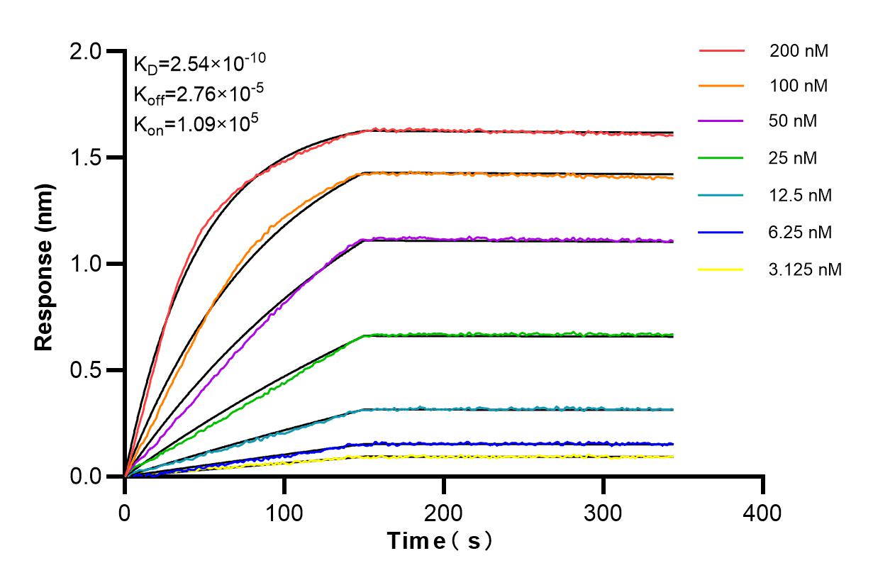 Affinity and Kinetic Characterization of 84946-5-RR