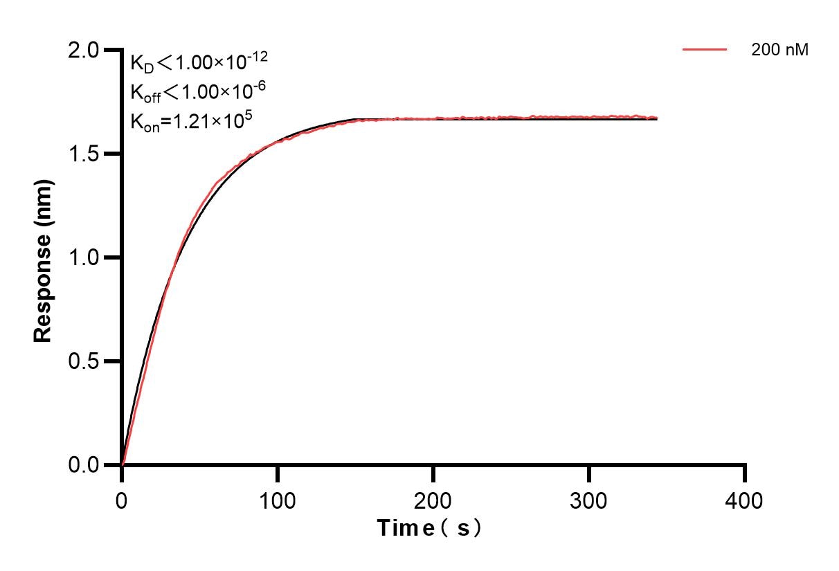 Affinity and Kinetic Characterization of 84947-1-PBS