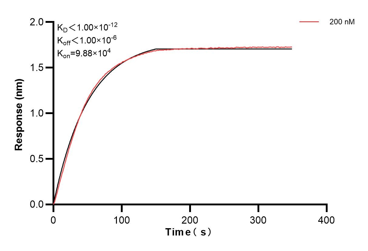 Affinity and Kinetic Characterization of 84947-2-PBS