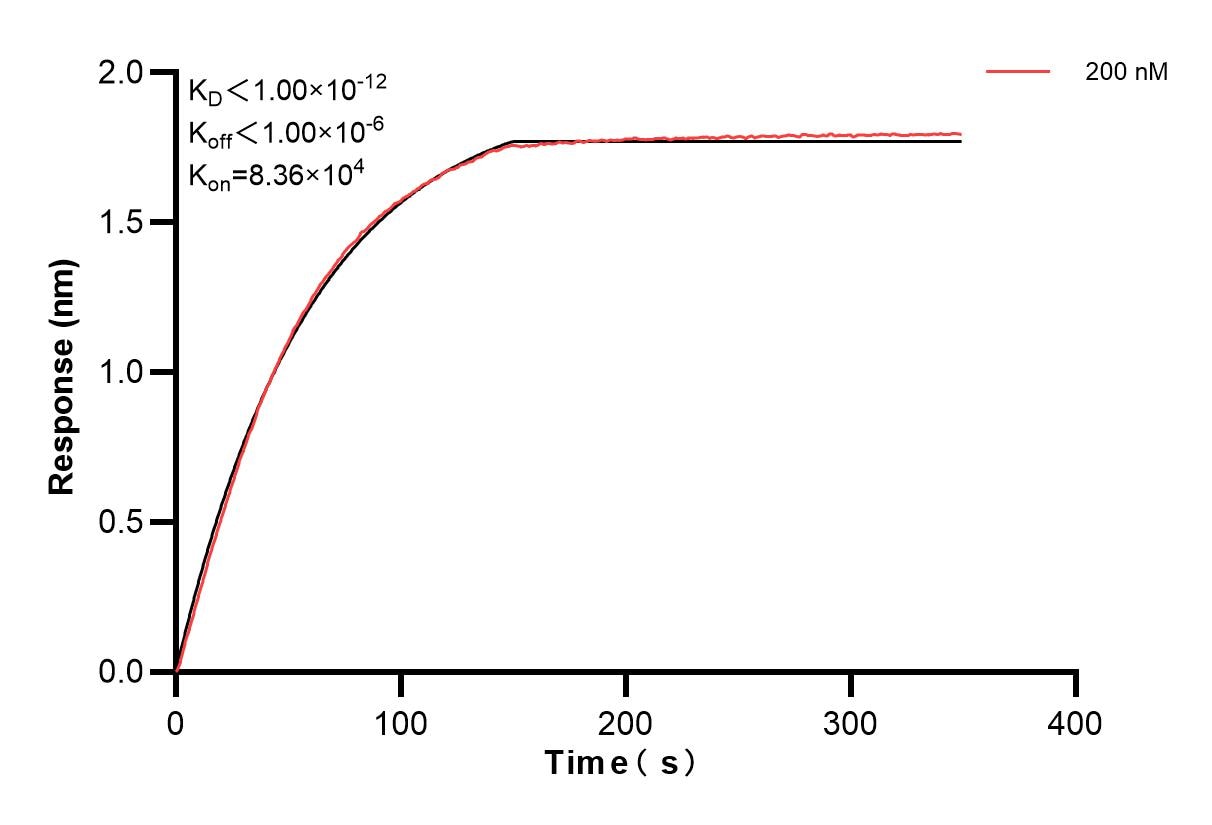 Affinity and Kinetic Characterization of 84947-3-PBS