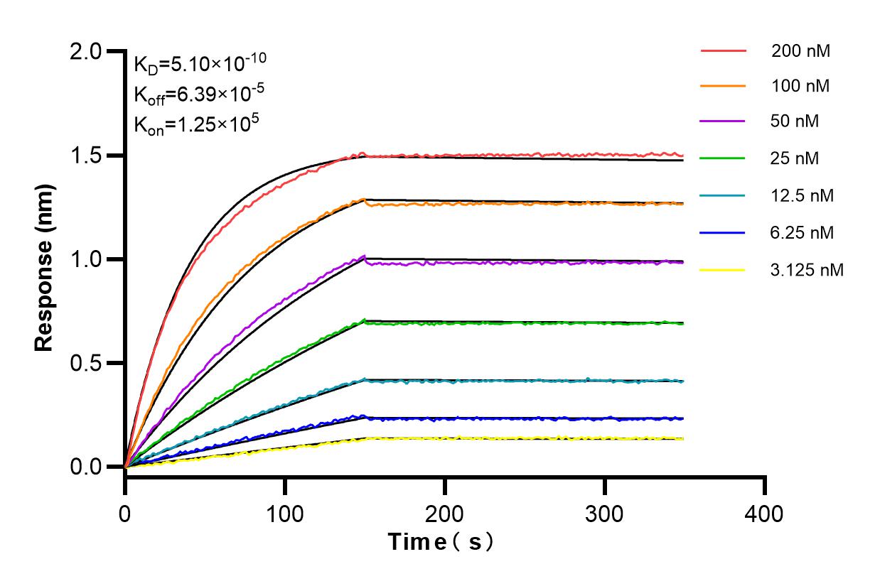 Affinity and Kinetic Characterization of 84952-5-RR