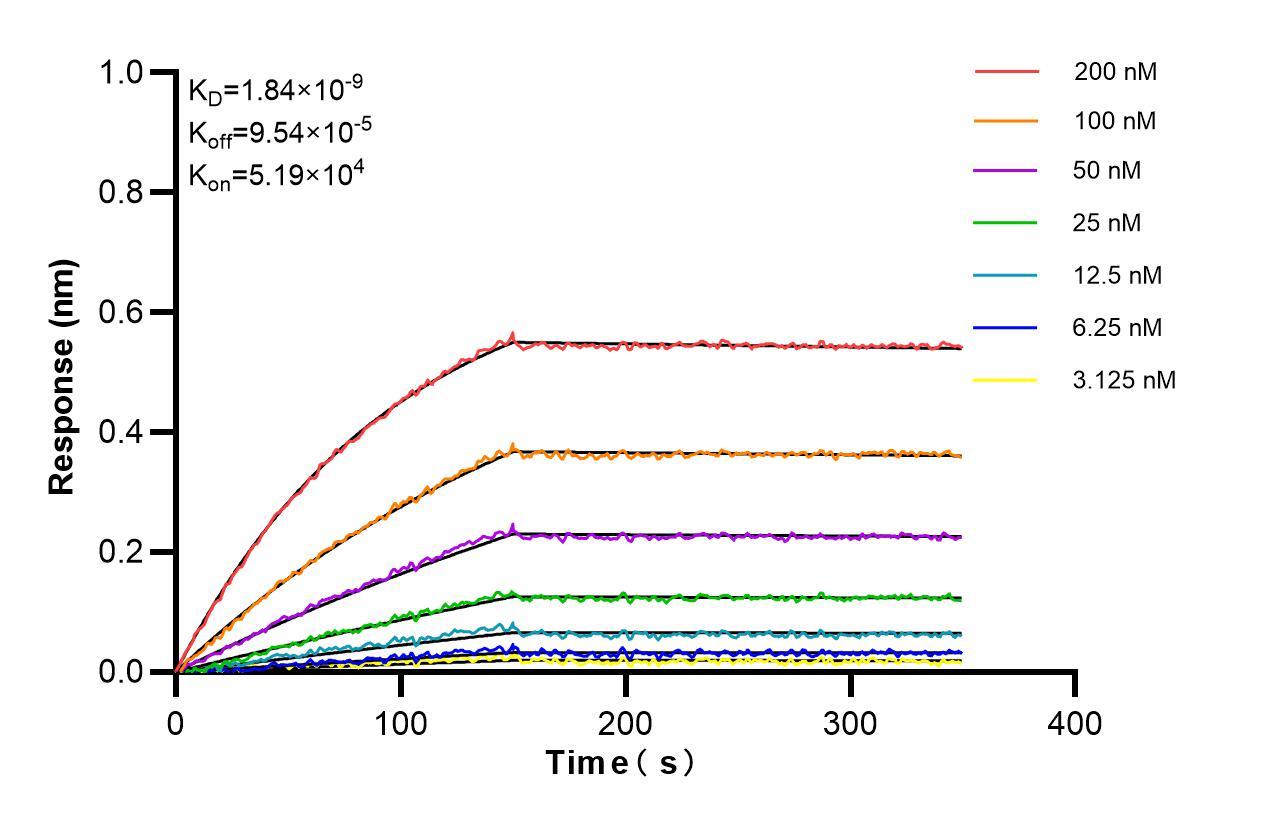 Affinity and Kinetic Characterization of 84959-4-RR