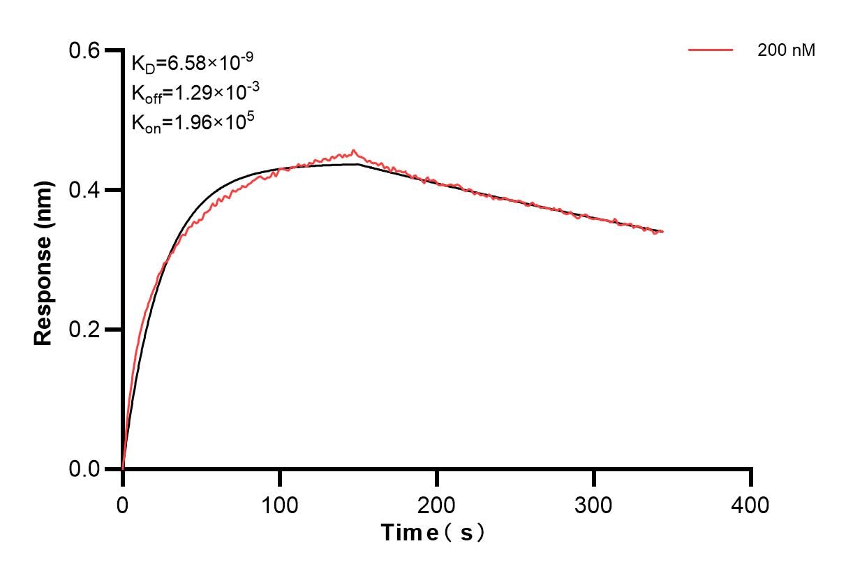 Affinity and Kinetic Characterization of 84960-3-PBS