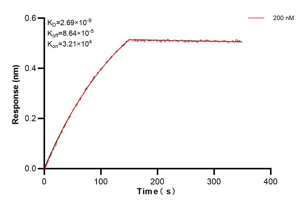 Affinity and Kinetic Characterization of 84966-2-PBS
