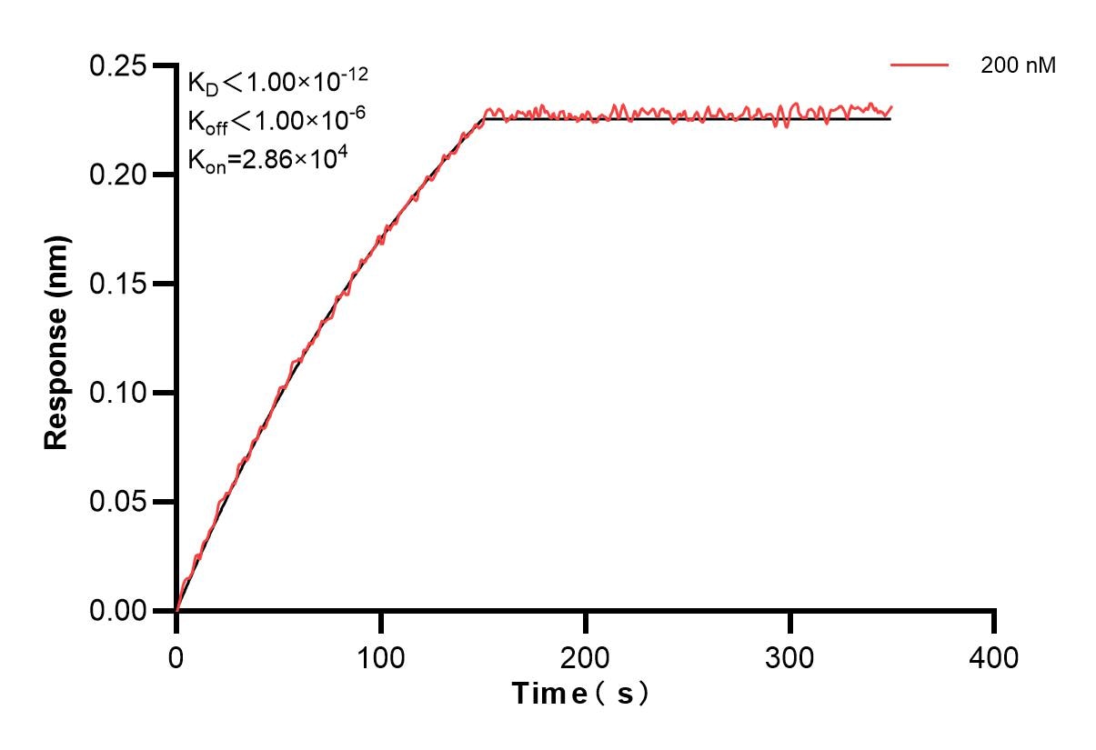 Affinity and Kinetic Characterization of 84966-3-PBS