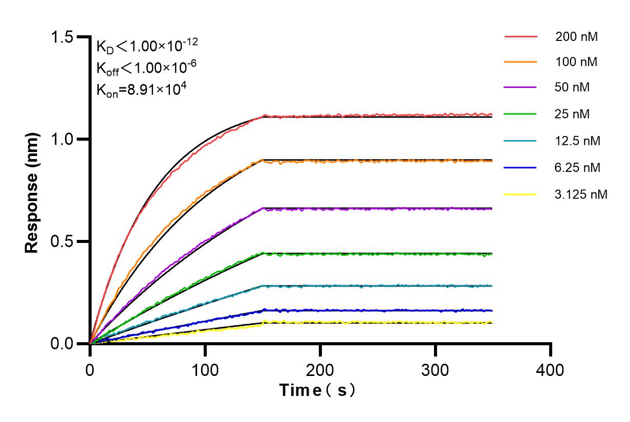 Affinity and Kinetic Characterization of 84967-1-RR