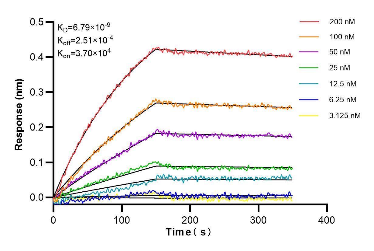 Affinity and Kinetic Characterization of 84969-4-RR