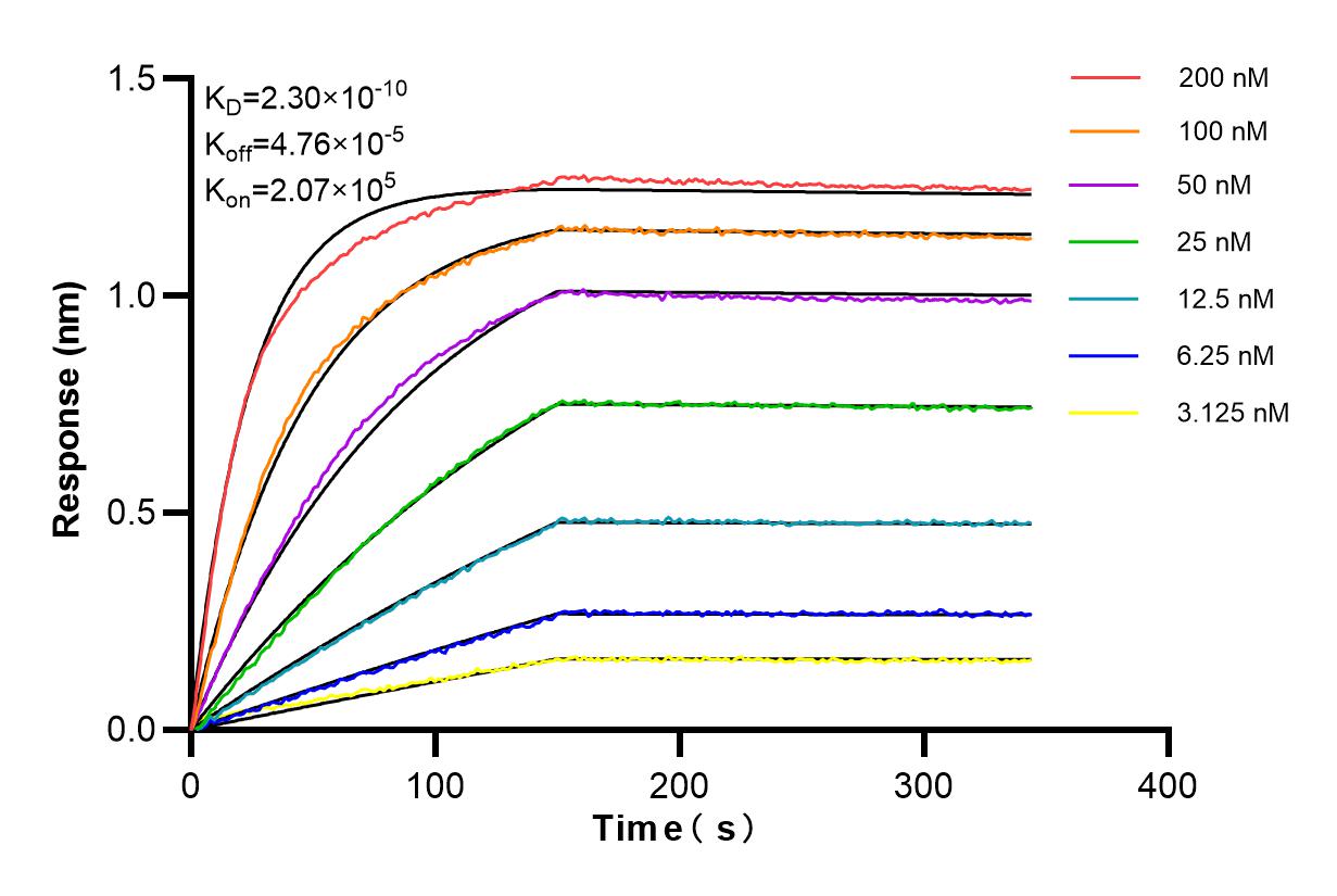 Affinity and Kinetic Characterization of 84972-4-RR