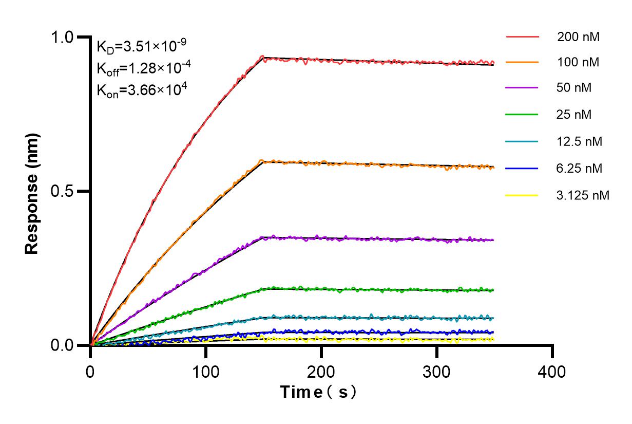 Affinity and Kinetic Characterization of 84977-1-RR