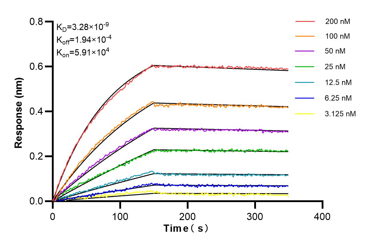 Affinity and Kinetic Characterization of 84990-4-RR