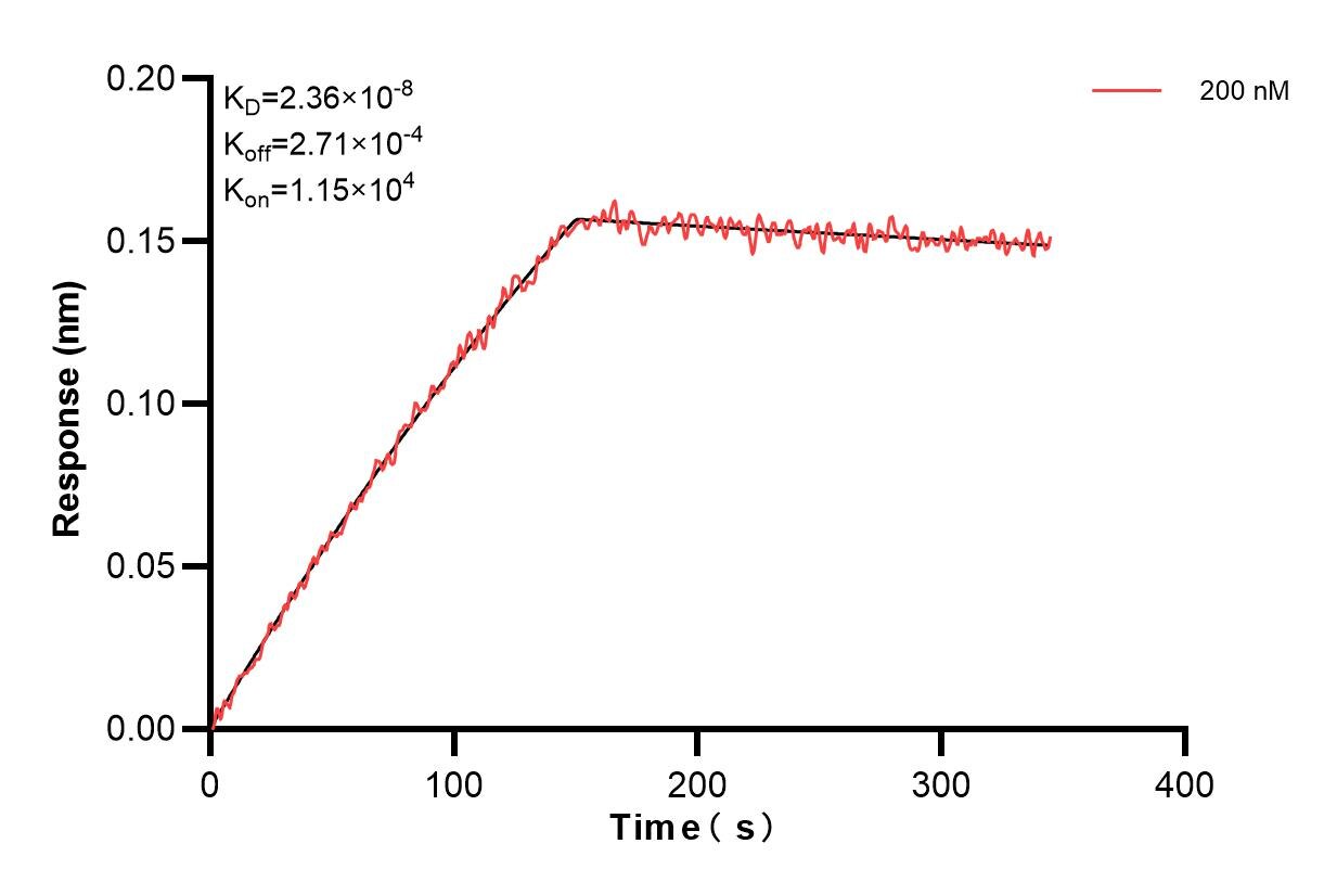 Affinity and Kinetic Characterization of 84992-1-PBS