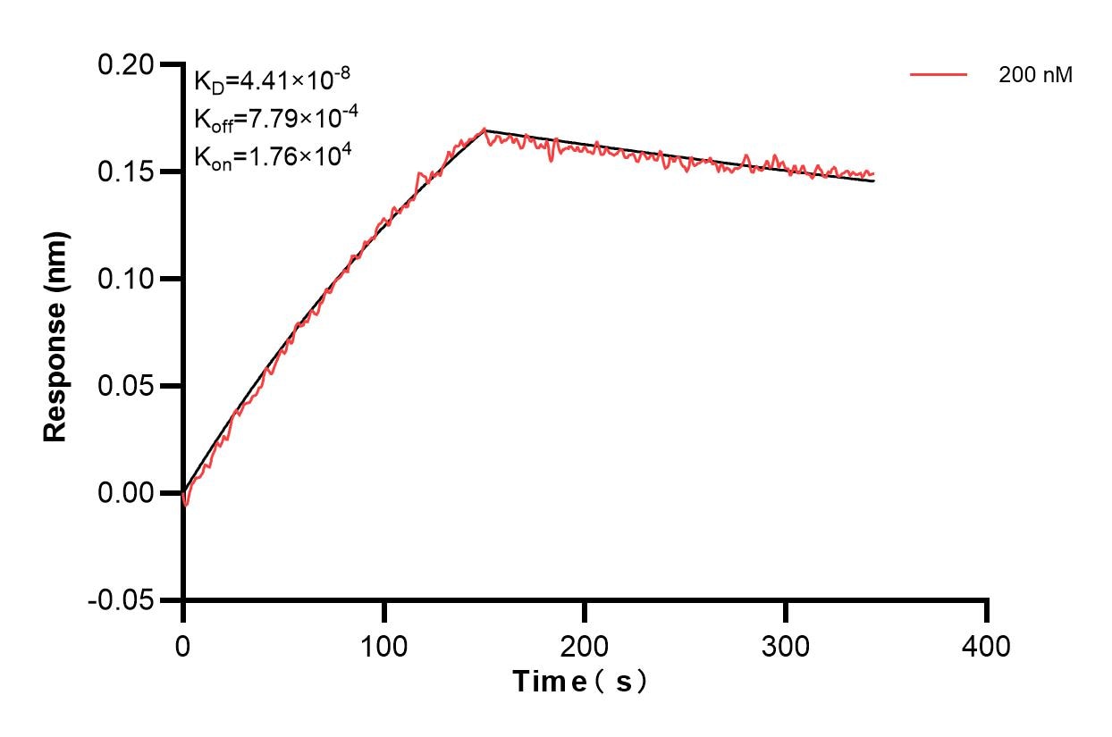 Affinity and Kinetic Characterization of 84992-3-PBS