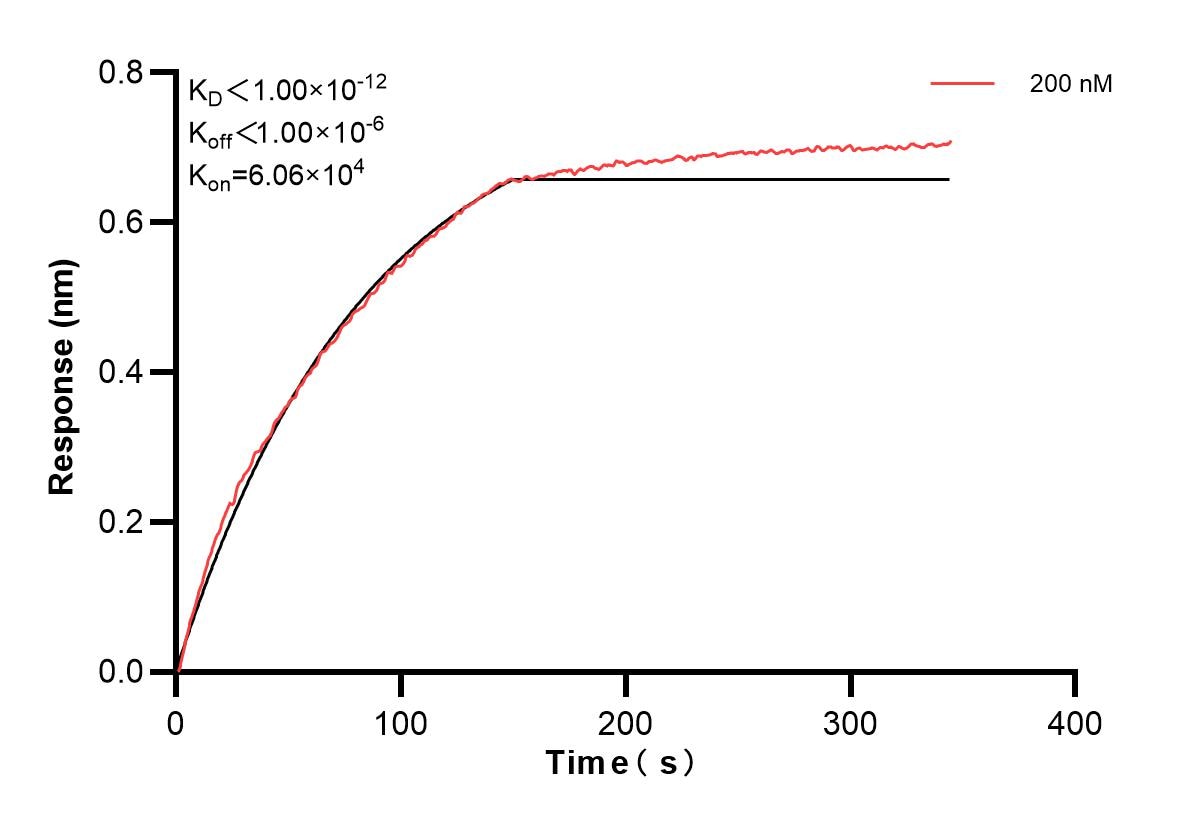 Affinity and Kinetic Characterization of 84993-3-PBS