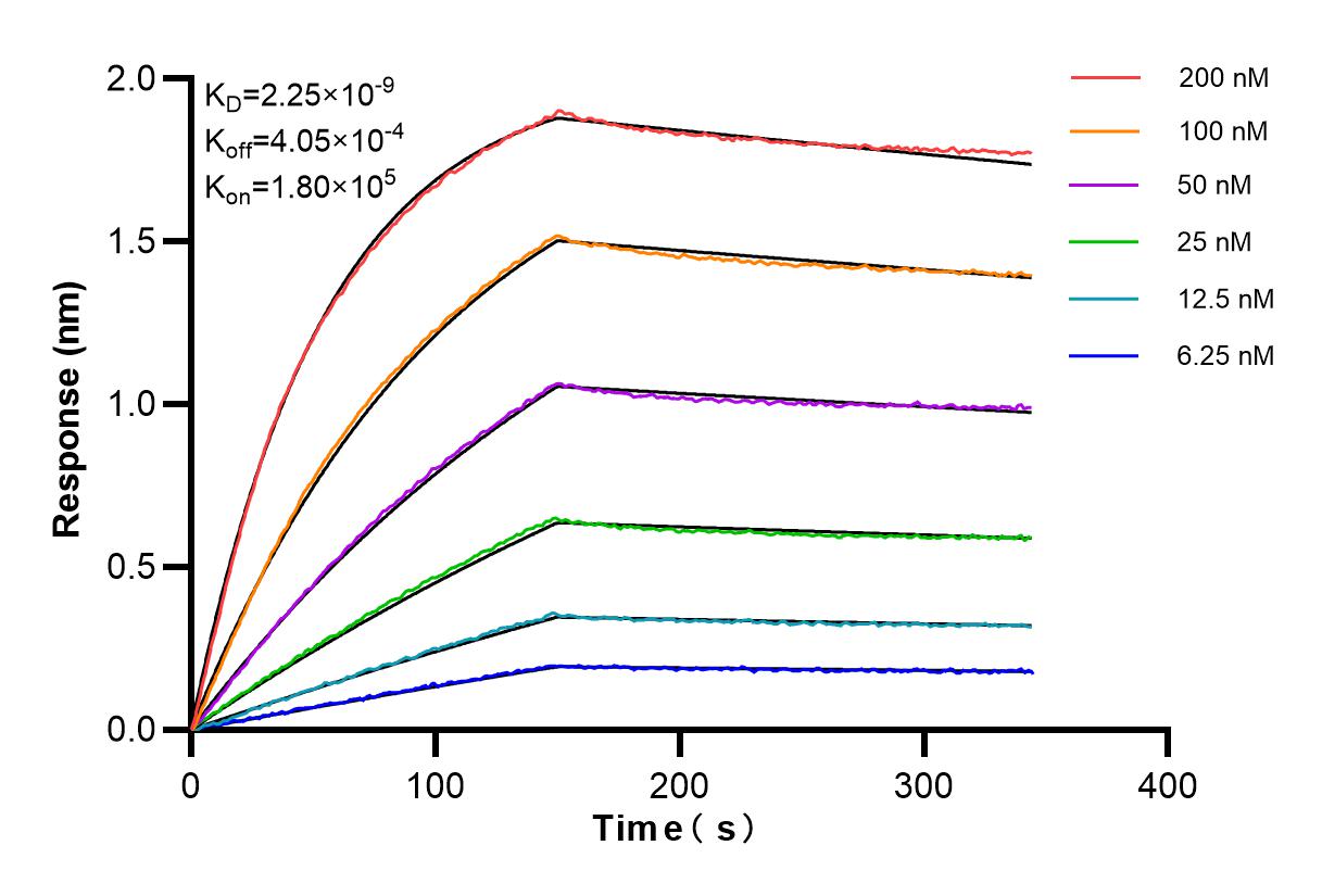 Affinity and Kinetic Characterization of 84996-1-RR
