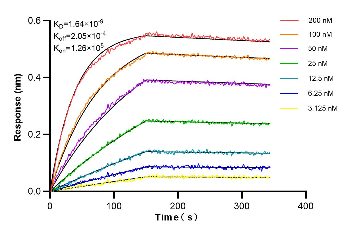 Affinity and Kinetic Characterization of 84998-1-RR