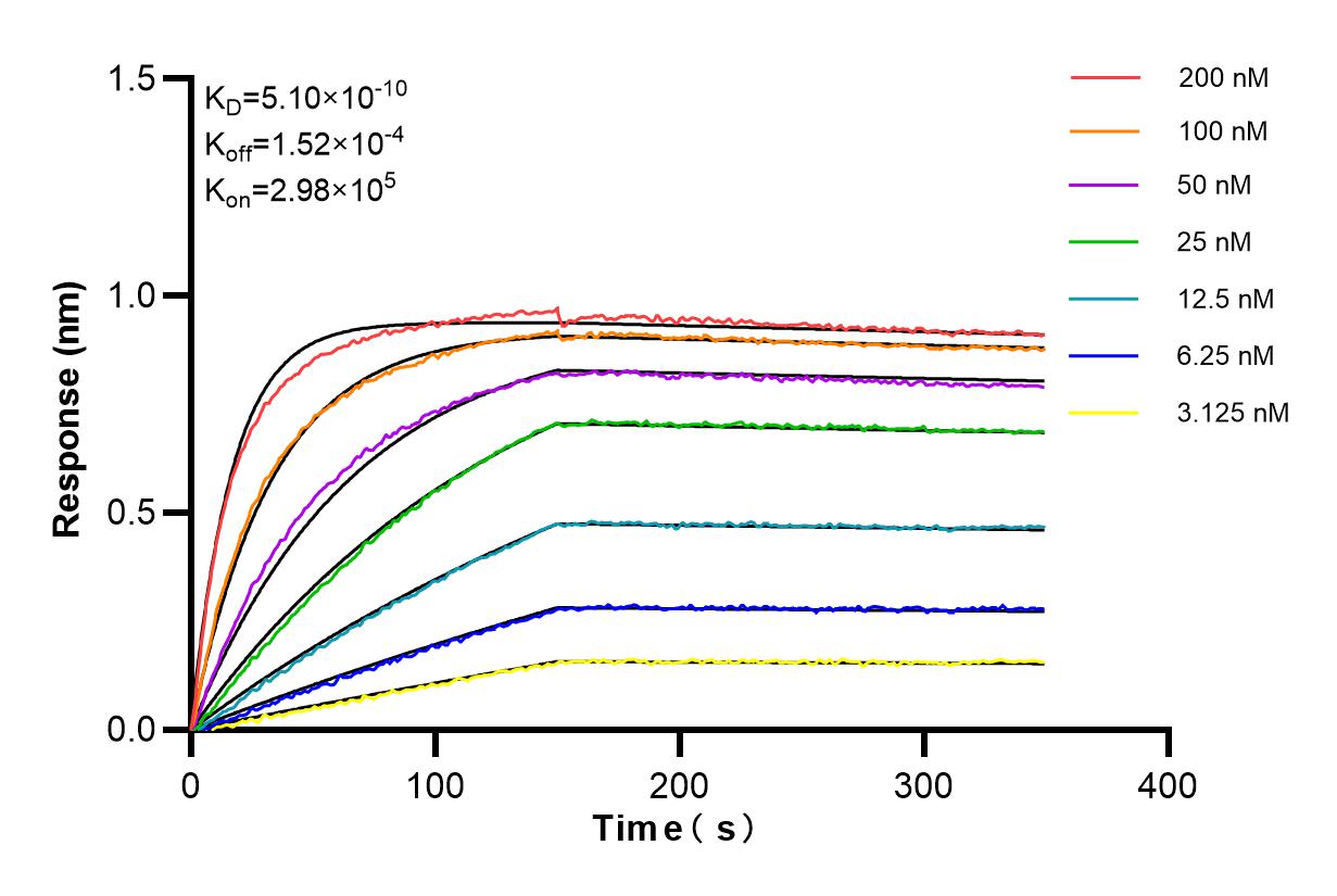 Affinity and Kinetic Characterization of 85001-4-RR