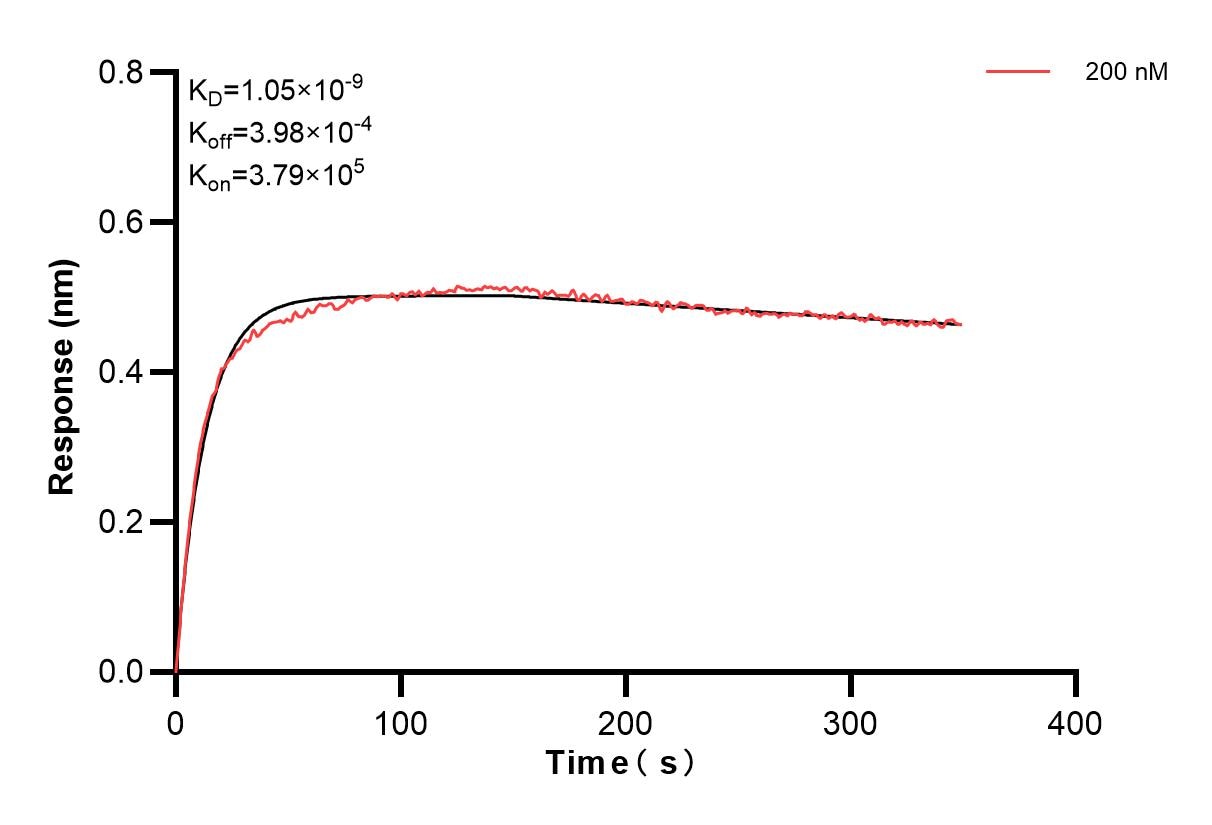 Affinity and Kinetic Characterization of 85020-1-PBS