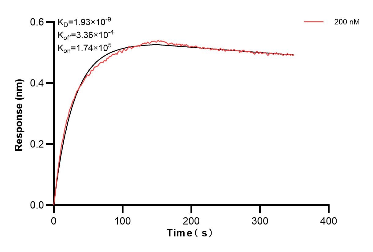 Affinity and Kinetic Characterization of 85020-2-PBS