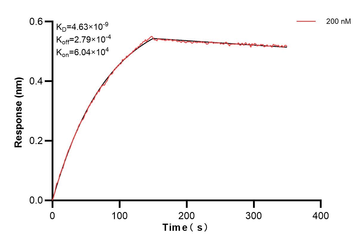 Affinity and Kinetic Characterization of 85025-2-PBS