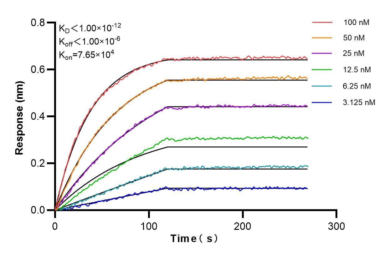 Affinity and Kinetic Characterization of 85028-2-PBS