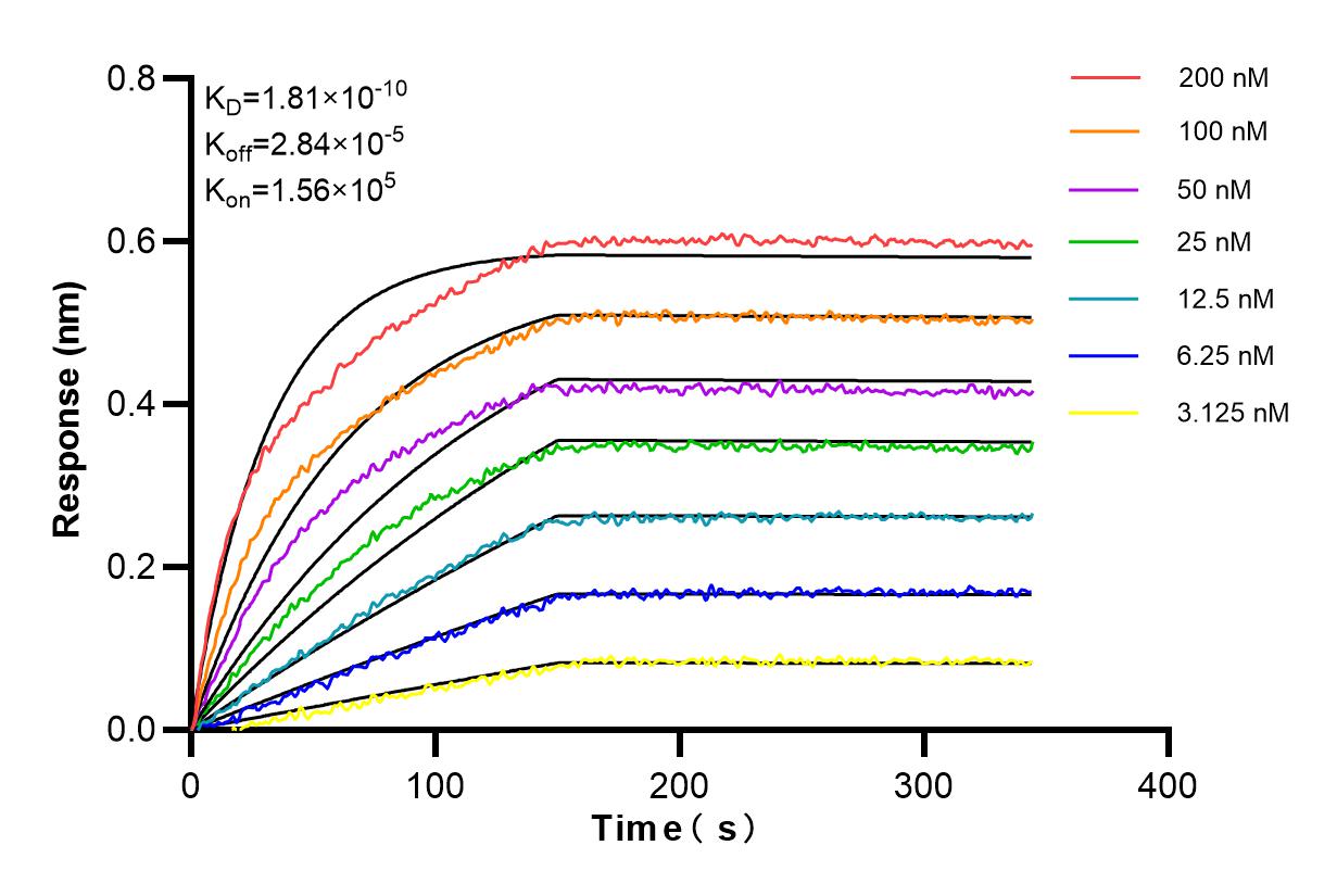 Affinity and Kinetic Characterization of 85028-3-PBS