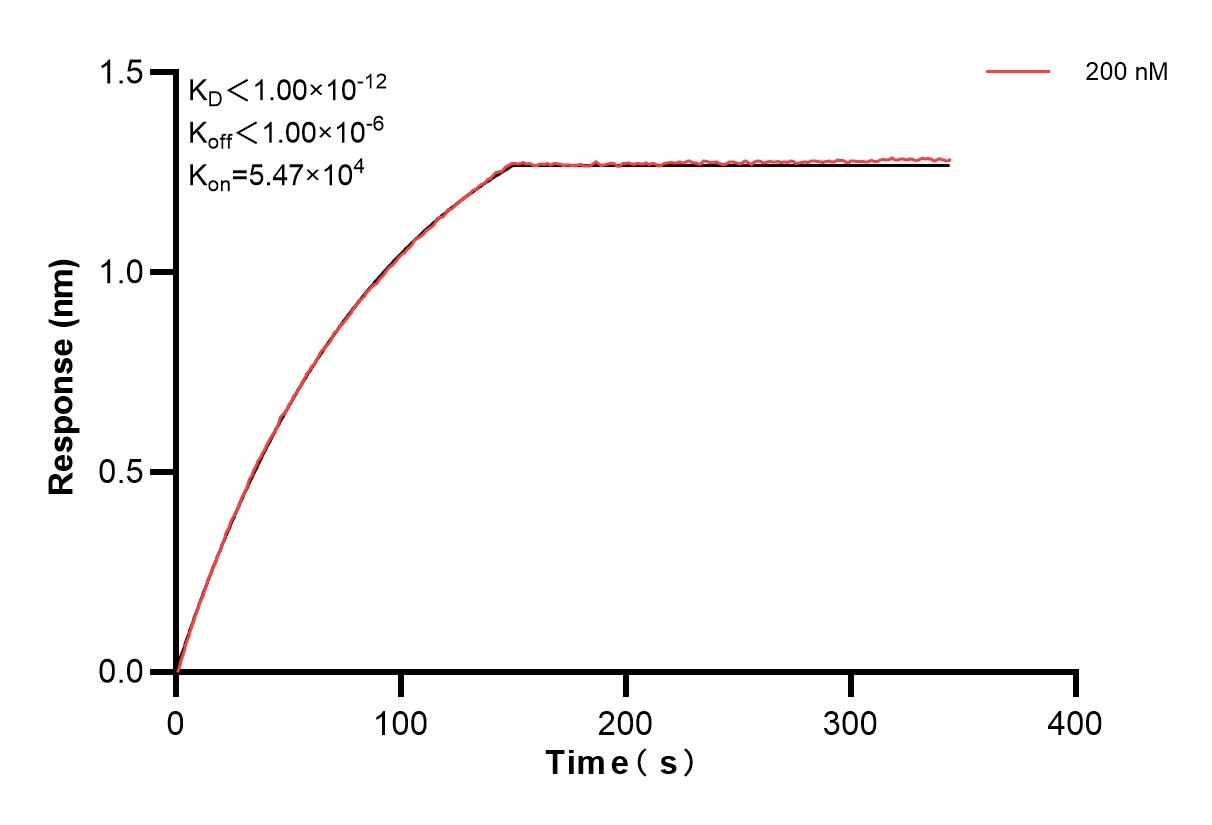 Affinity of 85037-1-PBS