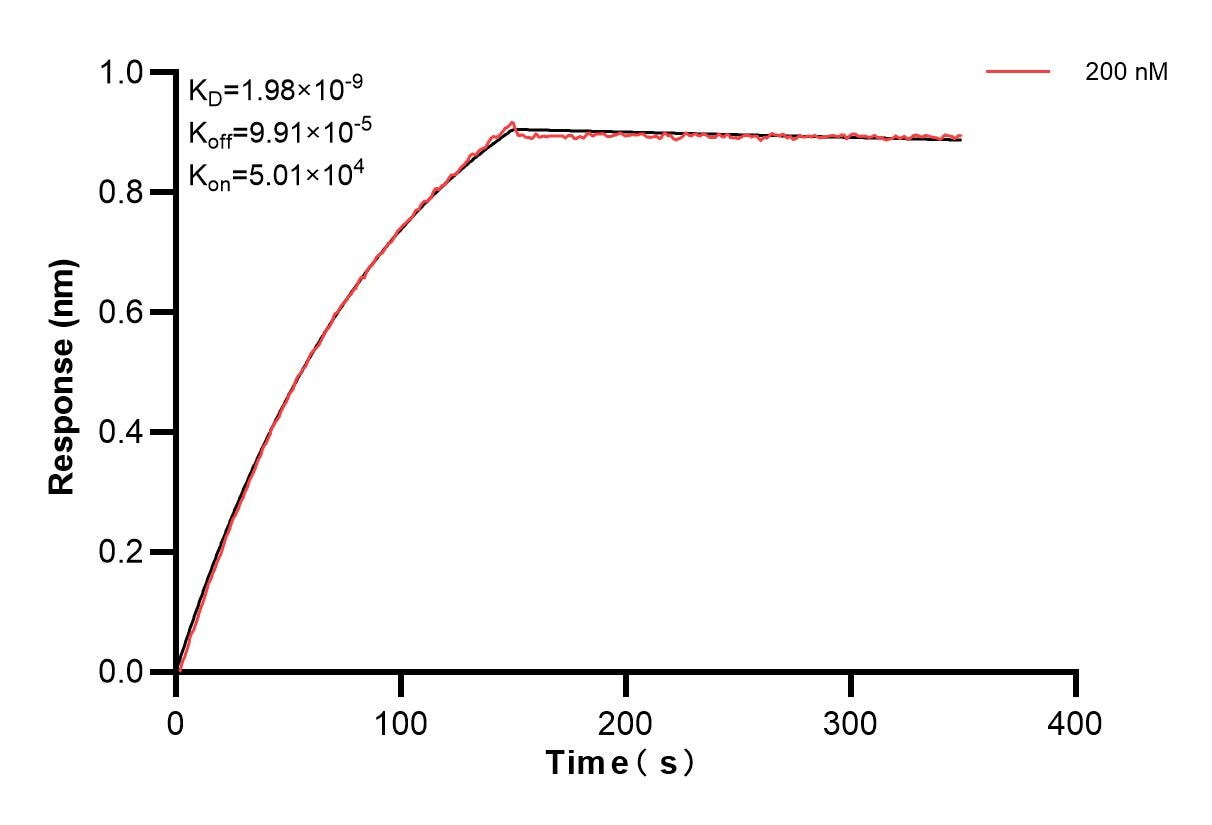 Affinity and Kinetic Characterization of 85052-1-PBS