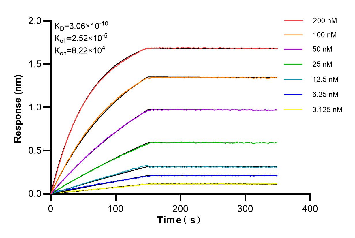 Affinity and Kinetic Characterization of 85052-4-RR