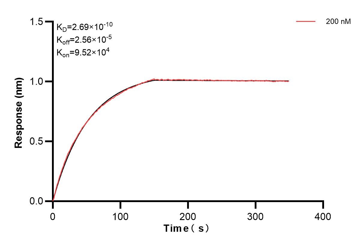 Affinity and Kinetic Characterization of 85055-2-PBS