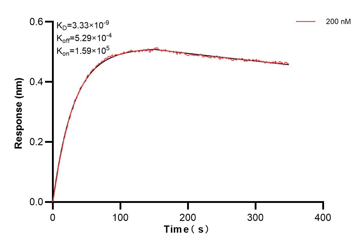 Affinity and Kinetic Characterization of 85060-1-PBS