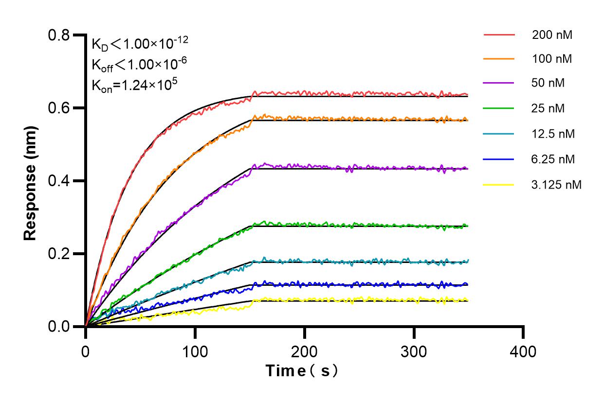 Affinity and Kinetic Characterization of 85060-2-RR
