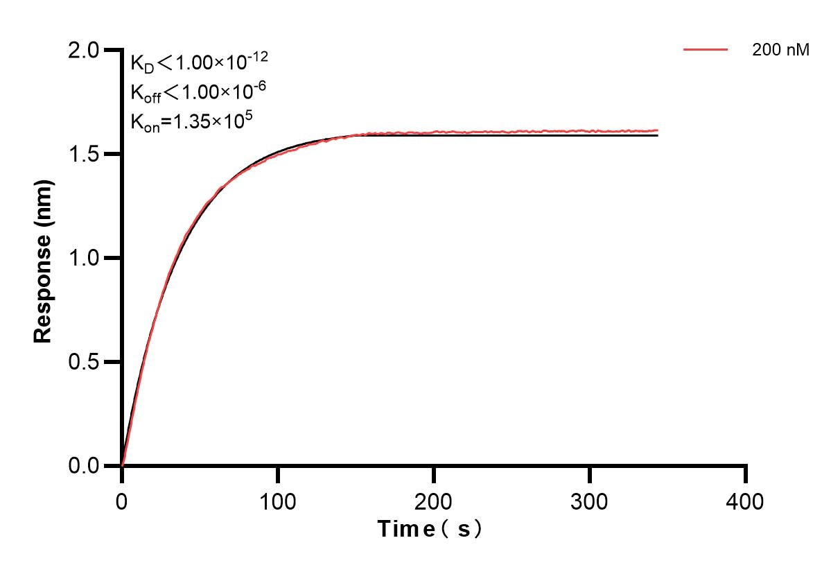 Affinity and Kinetic Characterization of 85062-3-PBS