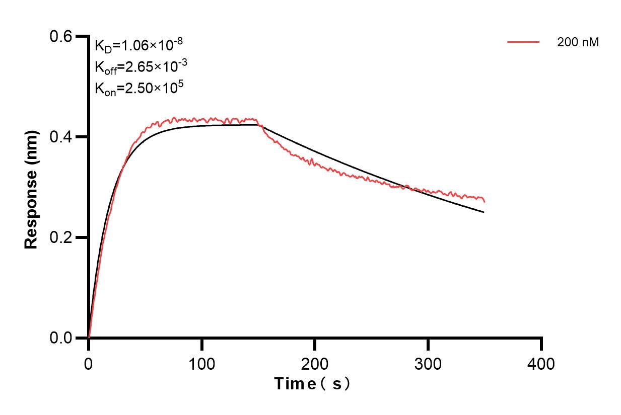 Affinity and Kinetic Characterization of 85063-2-PBS
